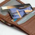  MoleQ Walletex USB- 2 GB      